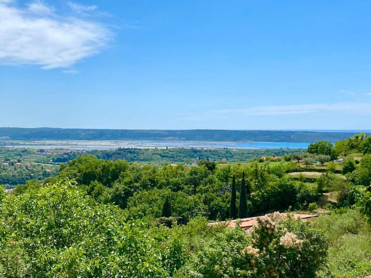 Apartma Hill Portorose Exterior foto